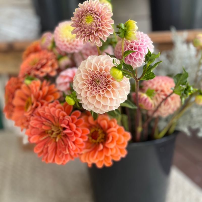 Bulk botanicals and foliage for arranging